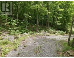 1731 Fraserburg Road, Bracebridge, ON P1L1X3 Photo 6