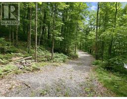 1731 Fraserburg Road, Bracebridge, ON P1L1X3 Photo 7