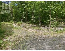 1731 Fraserburg Road, Bracebridge, ON P1L1X3 Photo 8