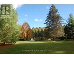 2863 Concession Rd 3, Adjala Tosorontio, ON L0N1P0 Photo 29
