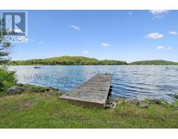 614 Sieber Road E, Ryerson, ON P0A1C0 Photo 39
