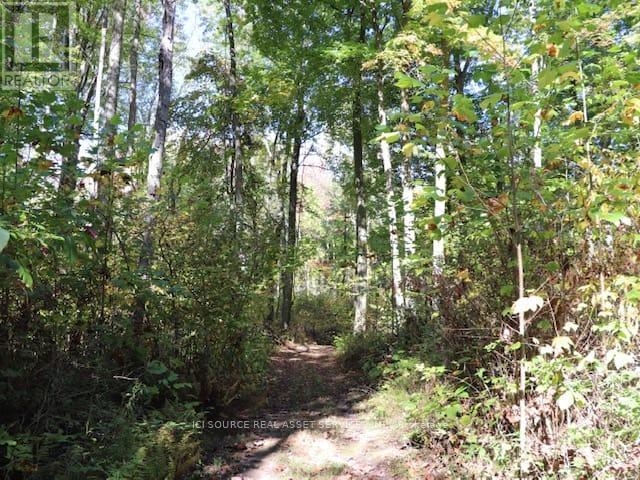 1514 LONGWOODS ROAD - 26