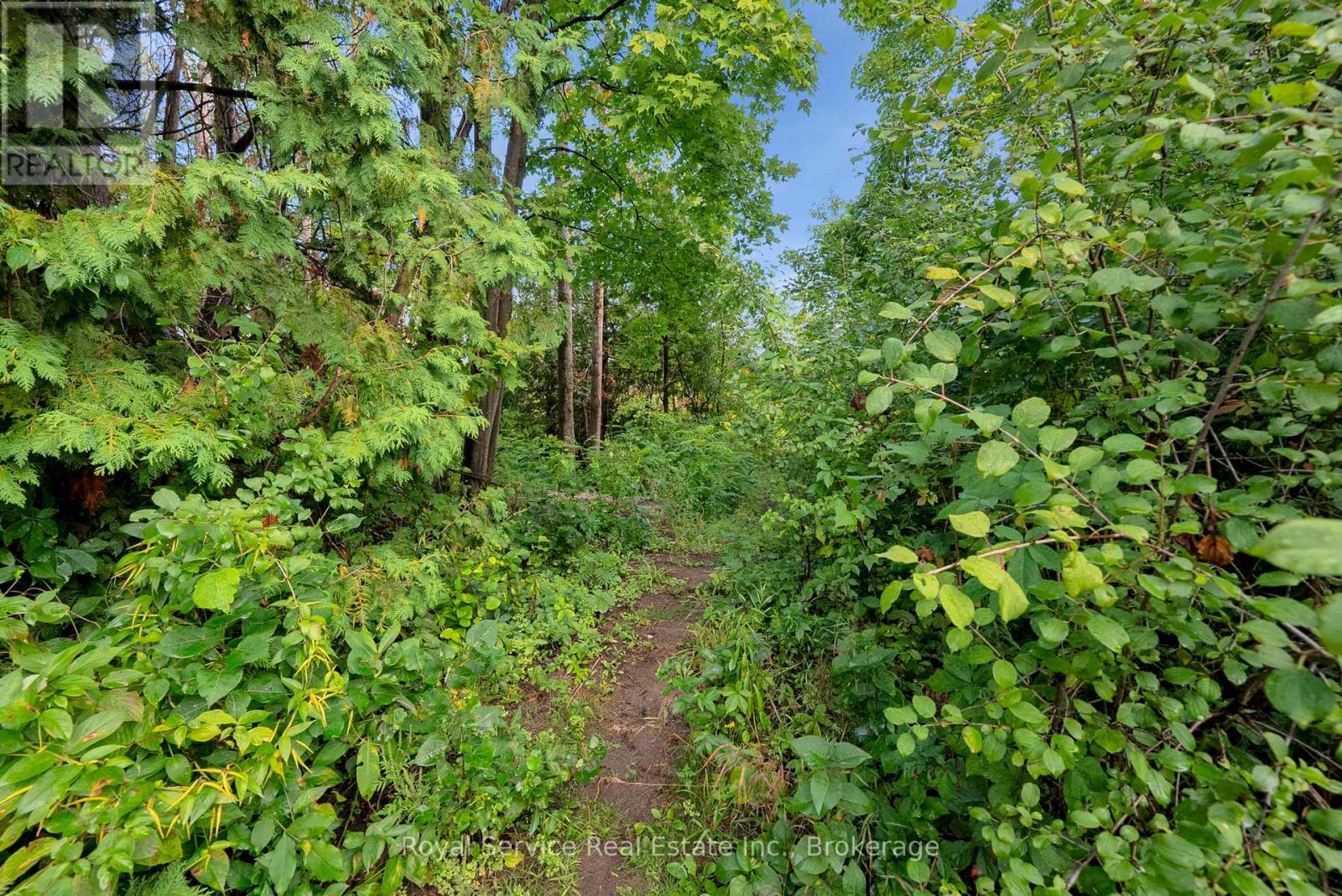 1204 PIGEON CREEK ROAD - 39