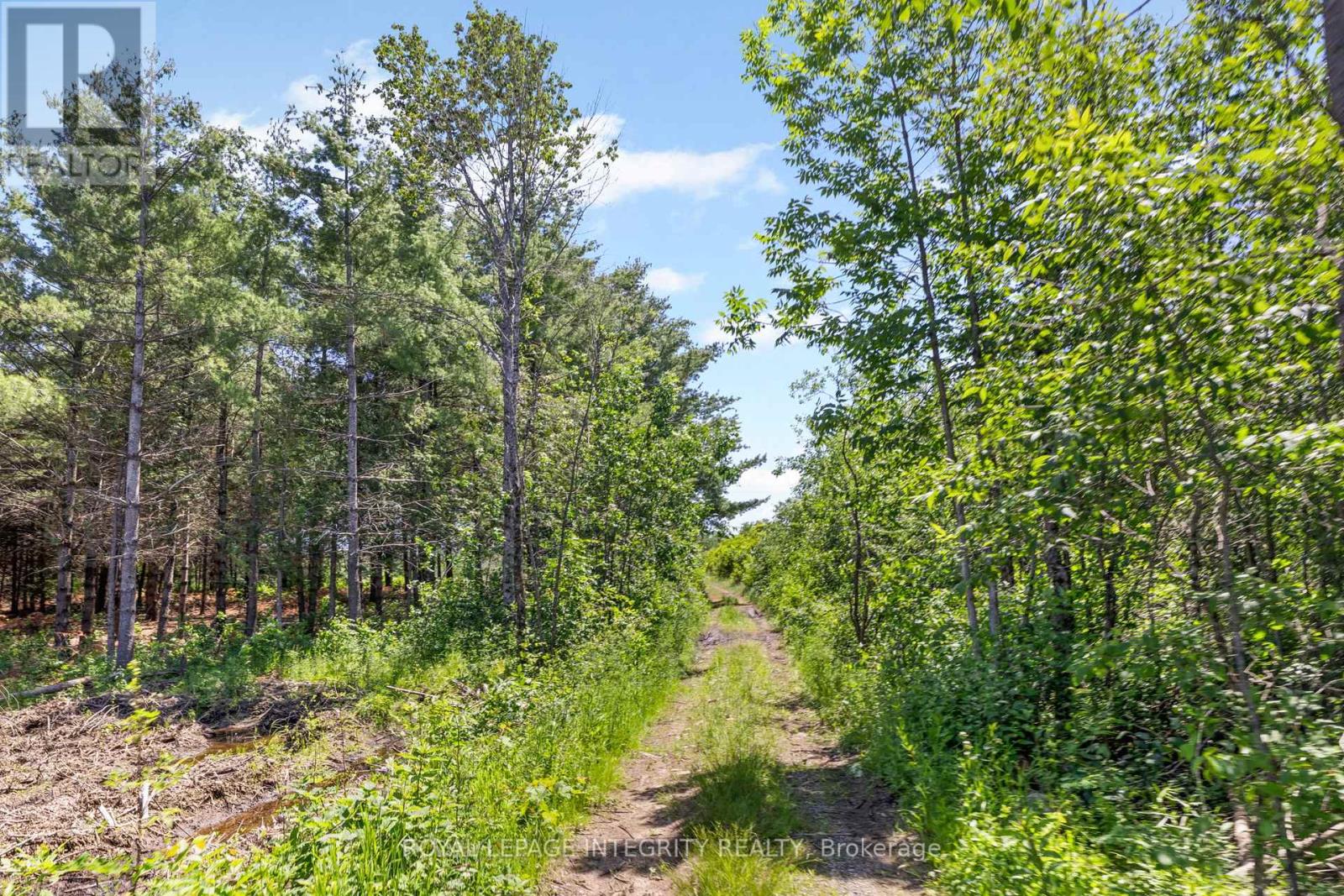 4228 O'NEIL ROAD - 43