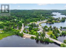 21 Lakeview Avenue W, Kearney, ON P0A1M0 Photo 39