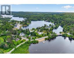 21 Lakeview Avenue W, Kearney, ON P0A1M0 Photo 40