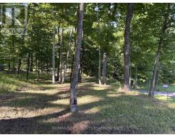 750 Christie Lake North Shore Road, Tay Valley, ON K7H3C6 Photo 26
