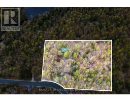 750 Christie Lake North Shore Road, Tay Valley, ON K7H3C6 Photo 22