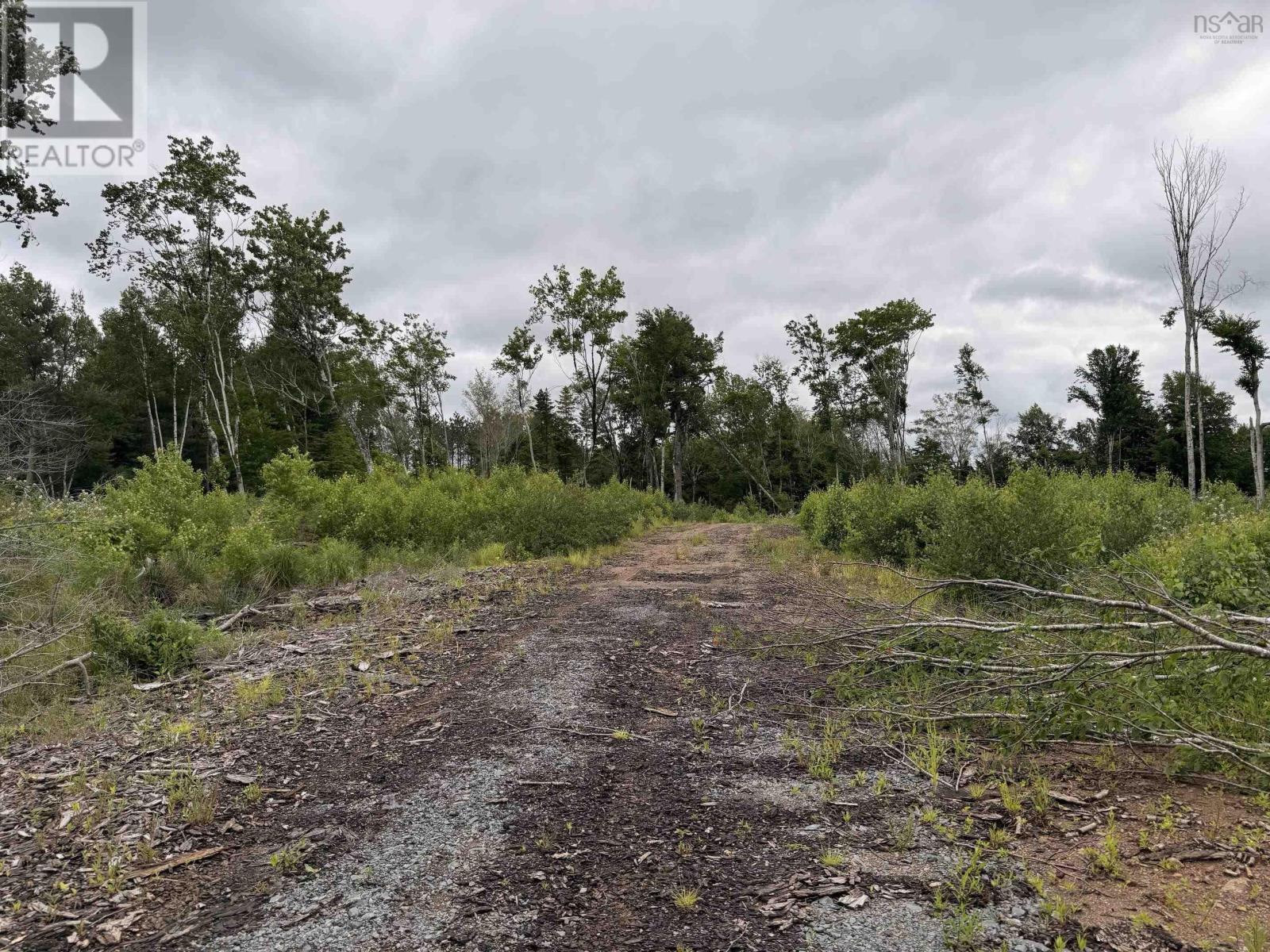 Property 7 of 11 of Lot 1 Big Lots Road