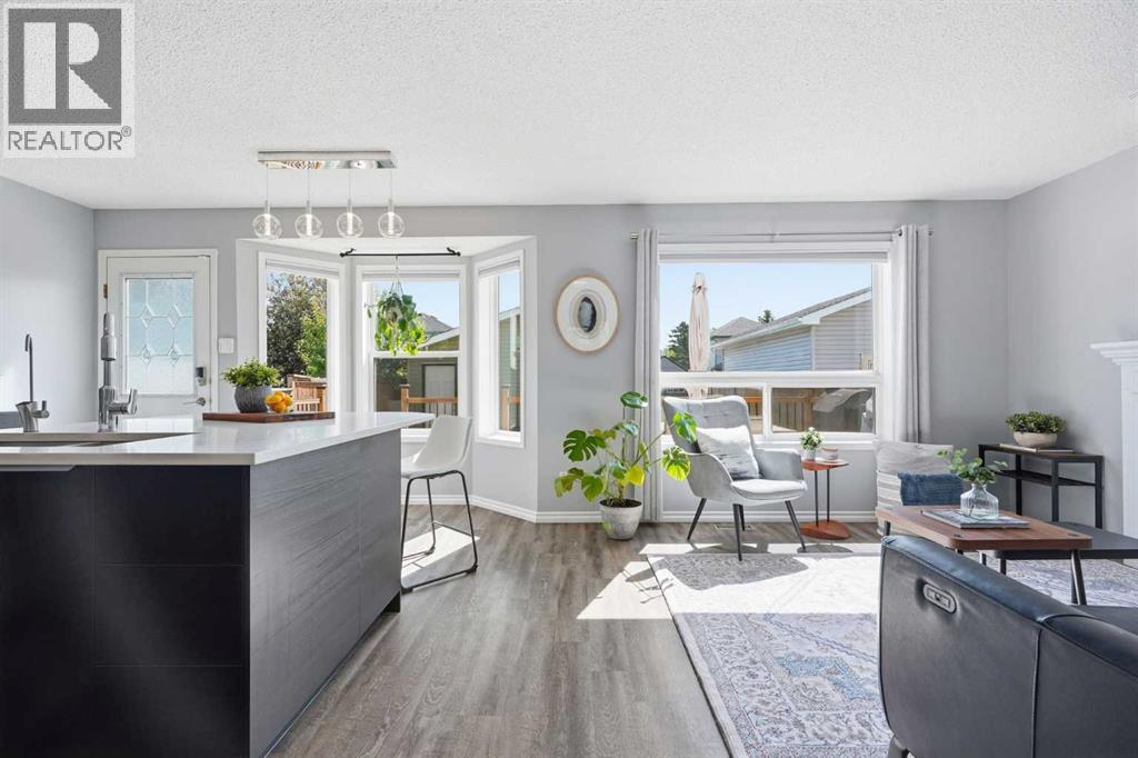 Kitchen / Living Area