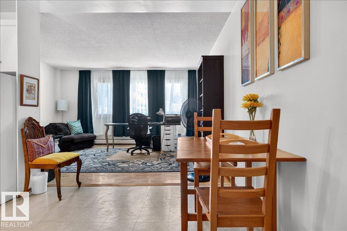 #33 10230 122 ST NW - 17
