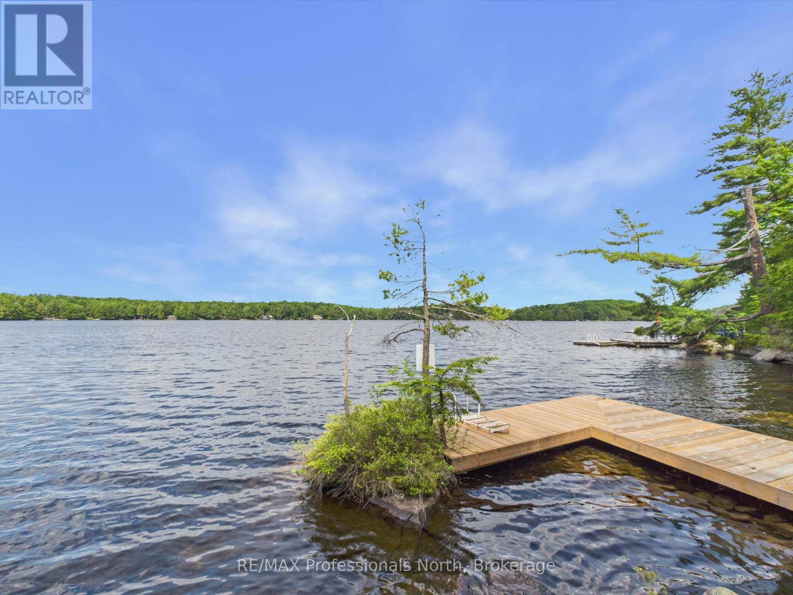 1007 LEECH LAKE POINT ROAD - 15