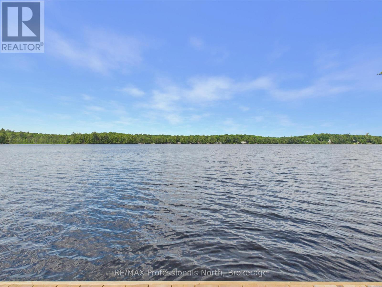 1007 LEECH LAKE POINT ROAD - 17
