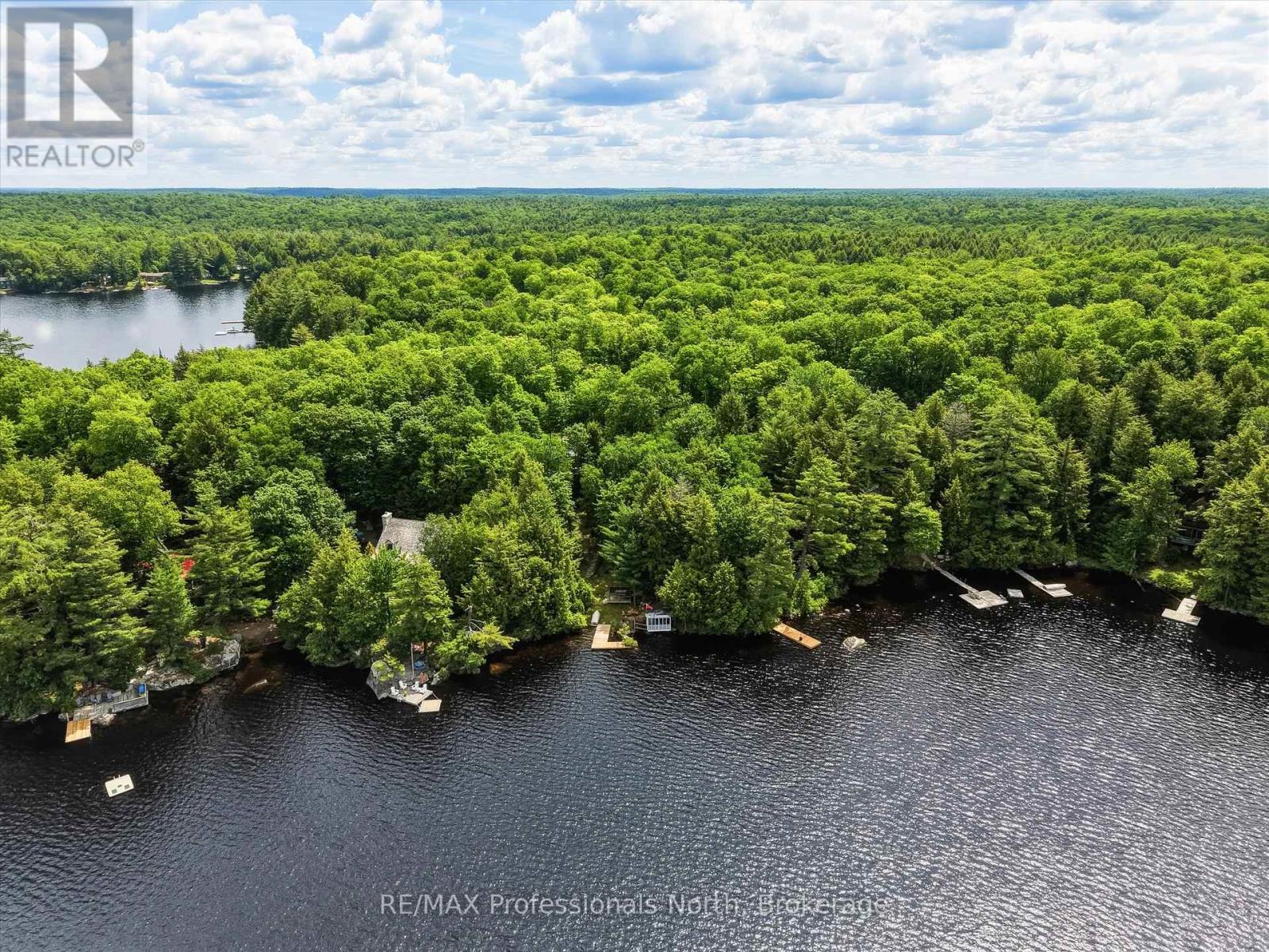 1007 LEECH LAKE POINT ROAD - 38
