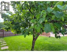 226 9th Avenue Ne, Swift Current, SK S9H2S1 Photo 28
