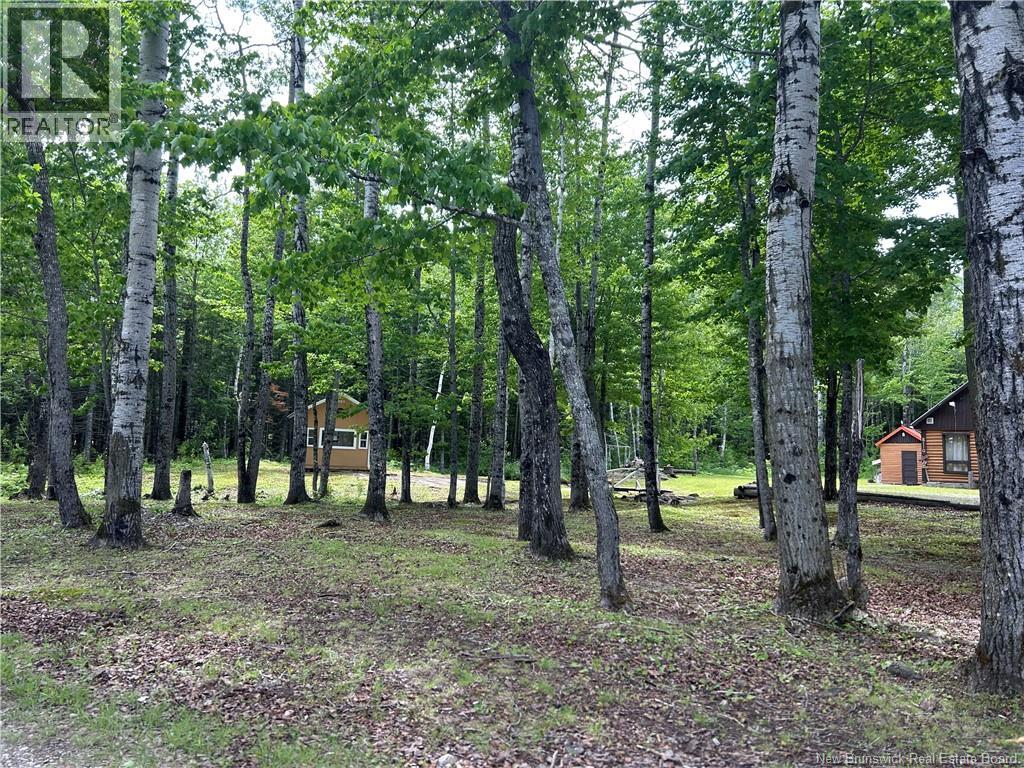 3110 Pabineau Falls Road - 5