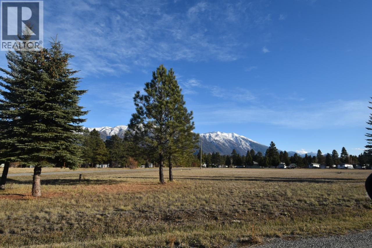 Lot B DOGWOOD Road, Wasa — photo 3