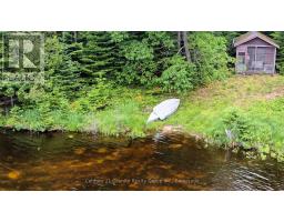 0 West Eels Lake Road, North Kawartha, ON K0L1A0 Photo 11