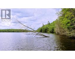 0 West Eels Lake Road, North Kawartha, ON K0L1A0 Photo 12