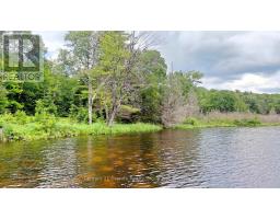 0 West Eels Lake Road, North Kawartha, ON K0L1A0 Photo 13