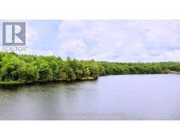 0 West Eels Lake Road, North Kawartha, ON K0L1A0 Photo 14