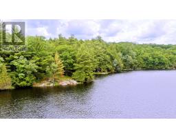 0 West Eels Lake Road, North Kawartha, ON K0L1A0 Photo 15