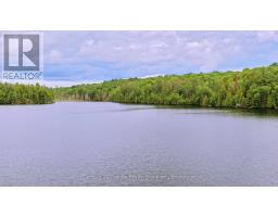 0 West Eels Lake Road, North Kawartha, ON K0L1A0 Photo 17