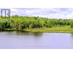 0 West Eels Lake Road, North Kawartha, ON K0L1A0 Photo 18