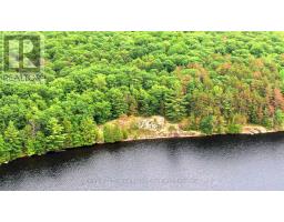 0 West Eels Lake Road, North Kawartha, ON K0L1A0 Photo 8