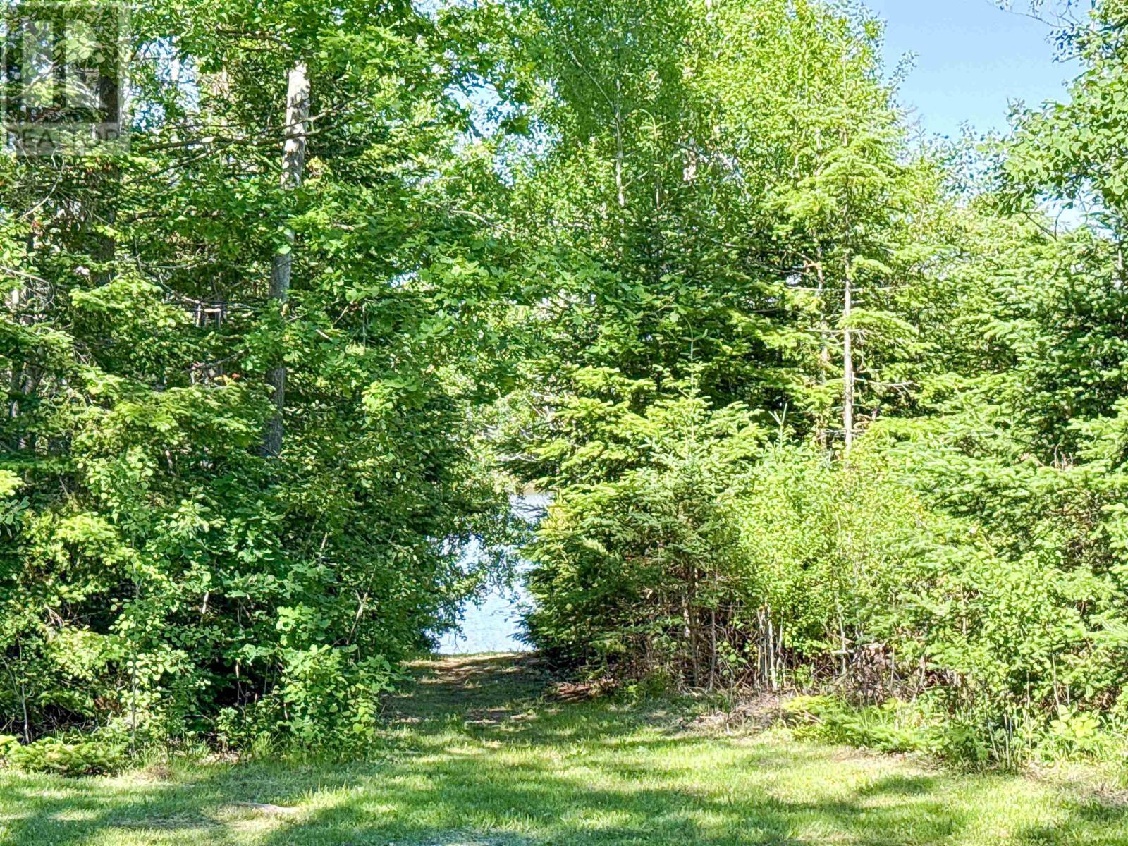 196 Burdett Lane - 32