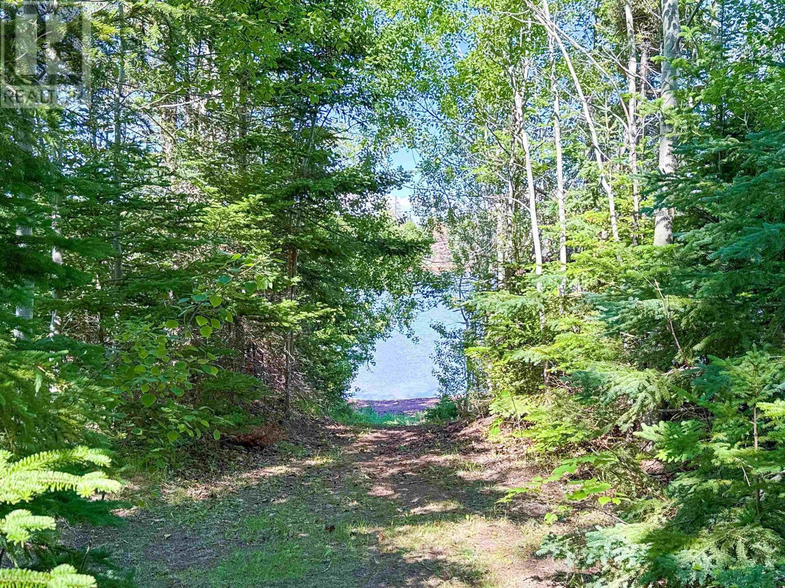 196 Burdett Lane - 31