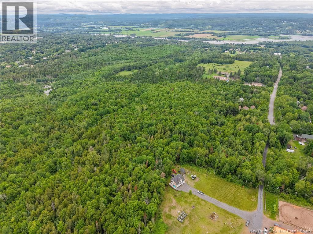 81 Mary Ellen Drive - 4