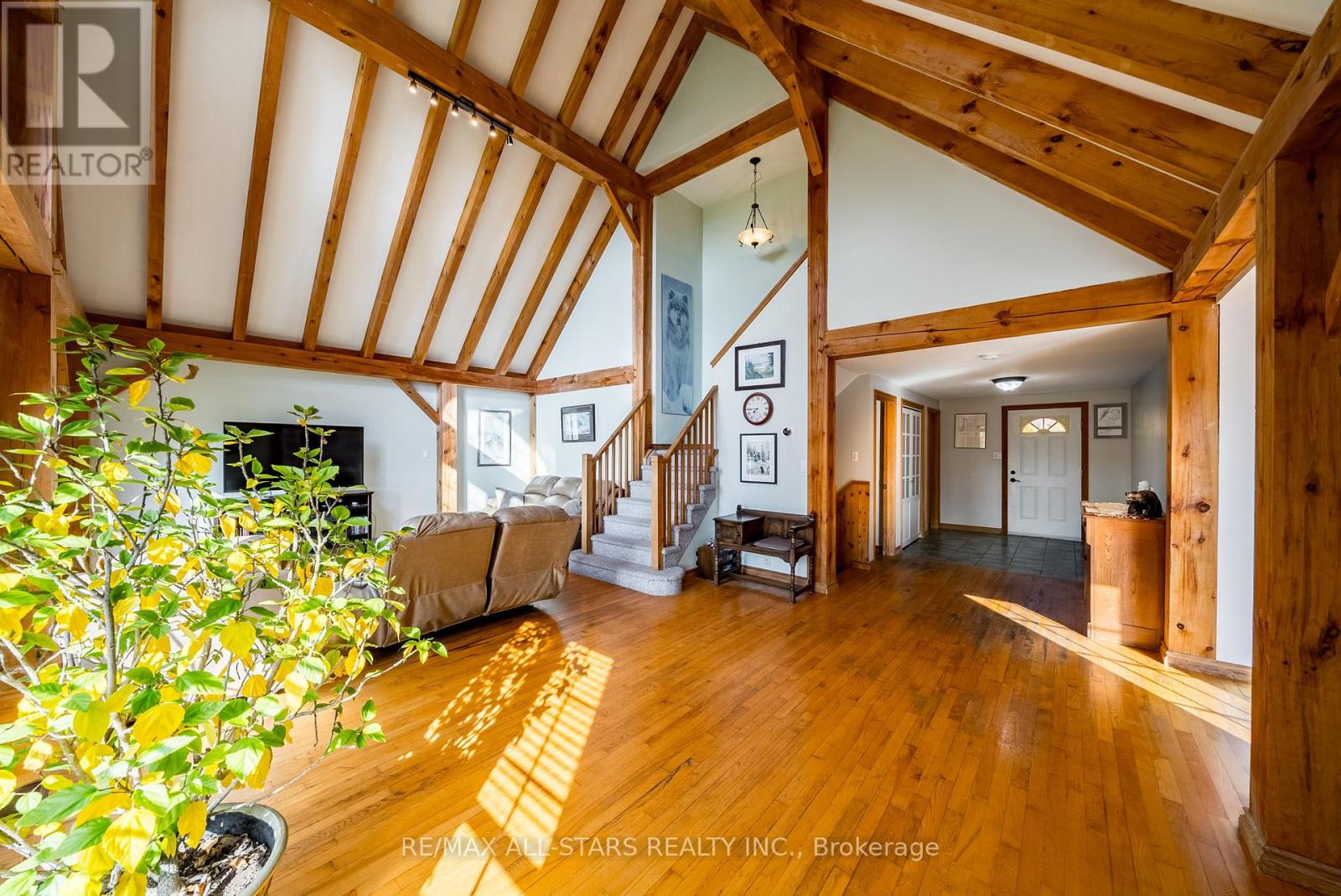 100 SNOW RIDGE COURT - 4