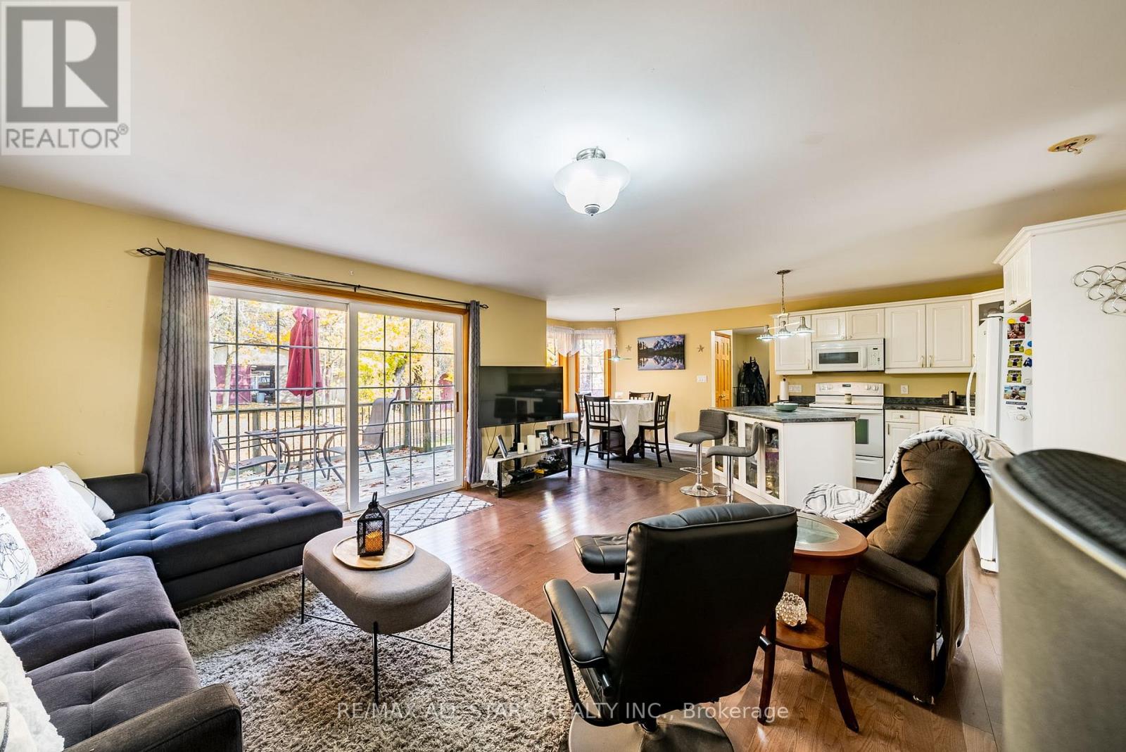 100 SNOW RIDGE COURT - 28