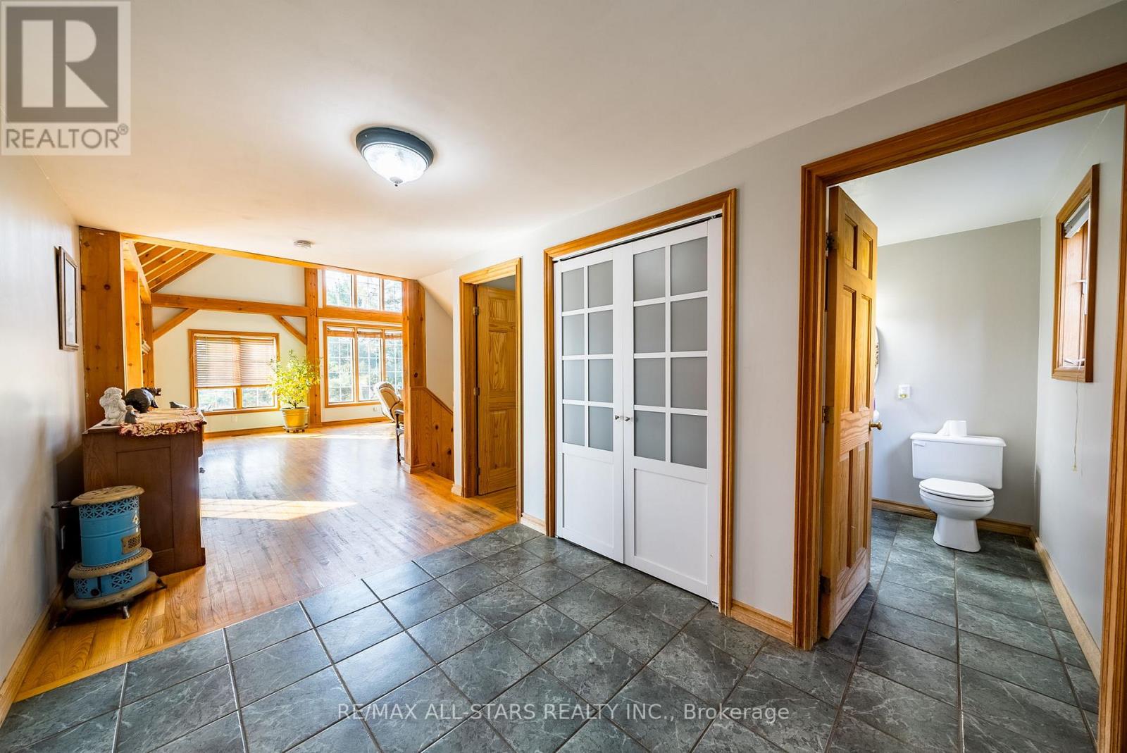 100 SNOW RIDGE COURT - 15