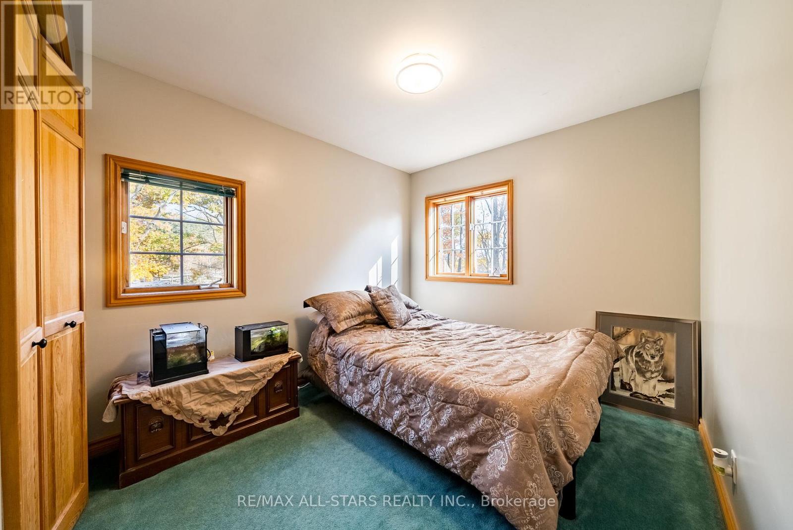 100 SNOW RIDGE COURT - 21