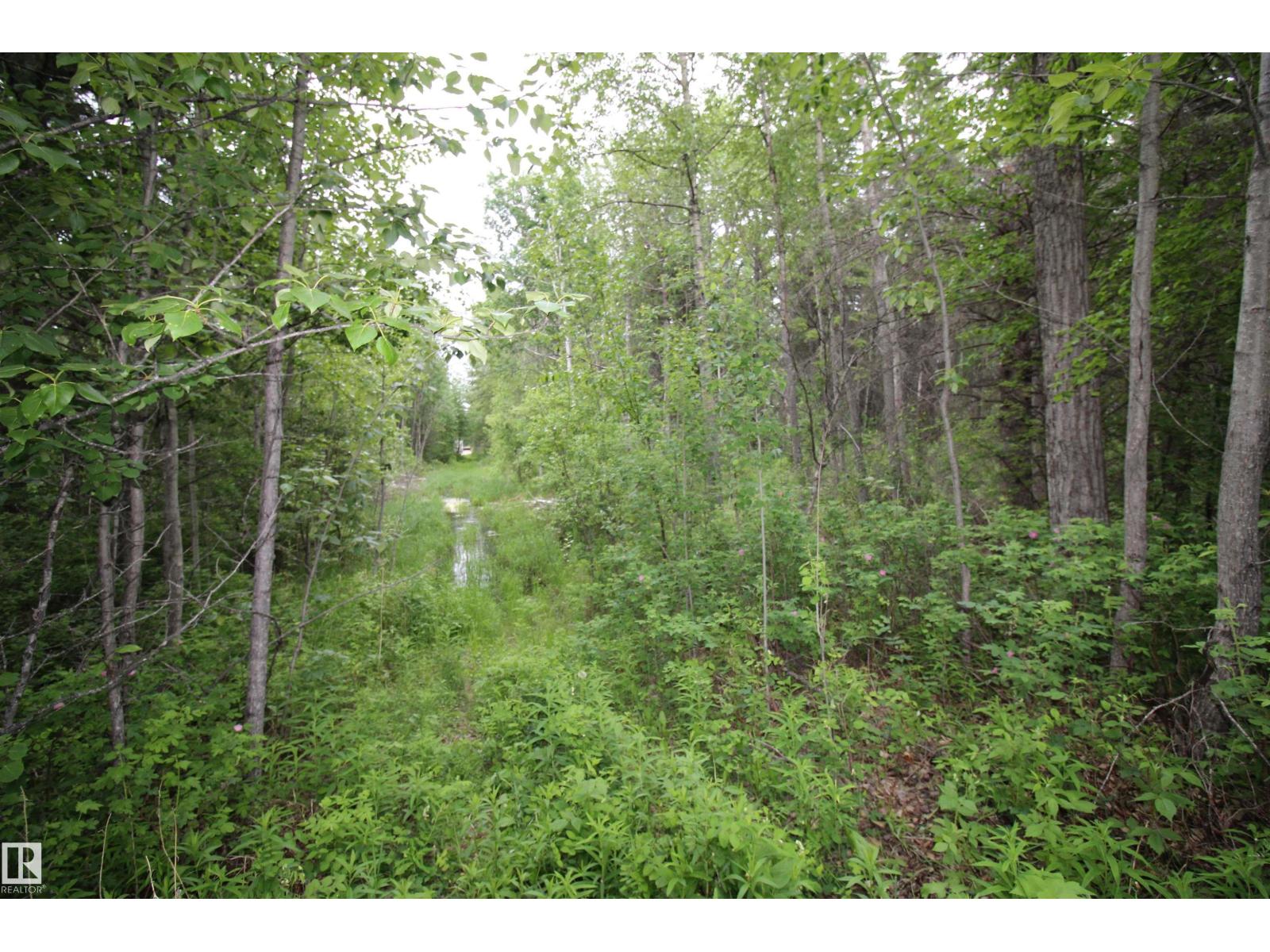 #205 55530 RGE ROAD 52 — photo 16