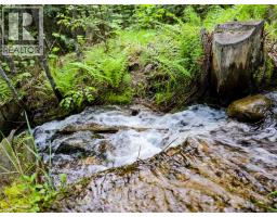 Dl 4595 Elsie Holmes Road, Wynndel, BC V0B2N1 Photo 21
