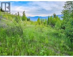 Dl 4595 Elsie Holmes Road, Wynndel, BC V0B2N1 Photo 16