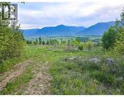 Dl 4595 Elsie Holmes Road, Wynndel, BC V0B2N1 Photo 17