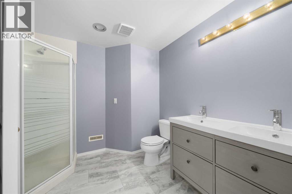 Lower level bathroom