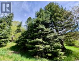 2010 Creek Street, Nelson, BC V1L1M7 Photo 88