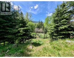 2010 Creek Street, Nelson, BC V1L1M7 Photo 87