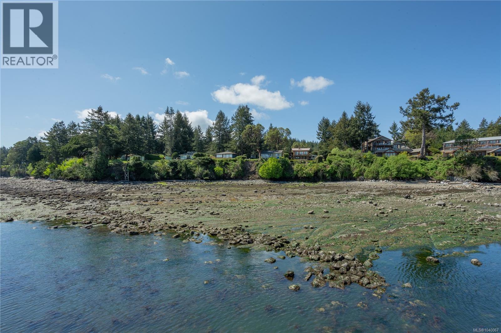 #13 494 Arbutus Dr - 15