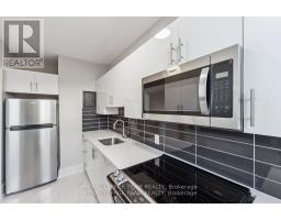 30 - 407 Elgin Street, Ottawa, ON K2P1N2 Photo 13