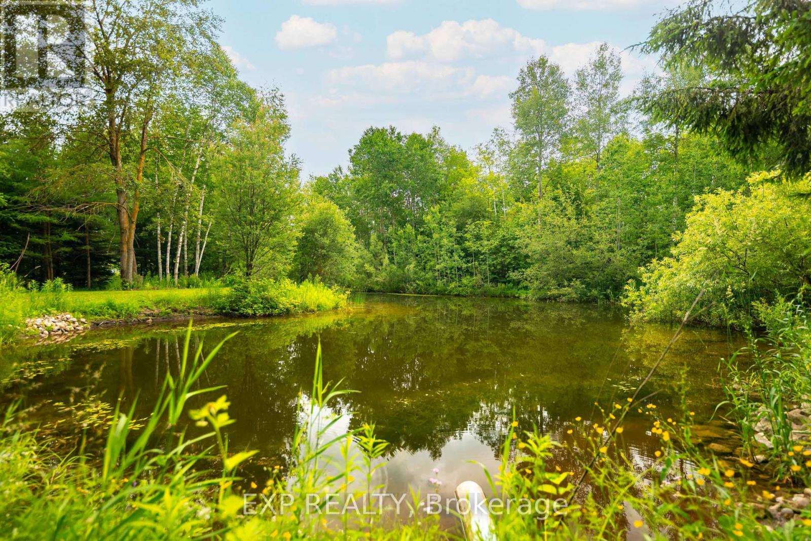 282262 CONCESSION RD 4-5 - Image 49