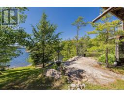 3888 Island 820/mermaid Island, Georgian Bay, ON P0E1E0 Photo 23