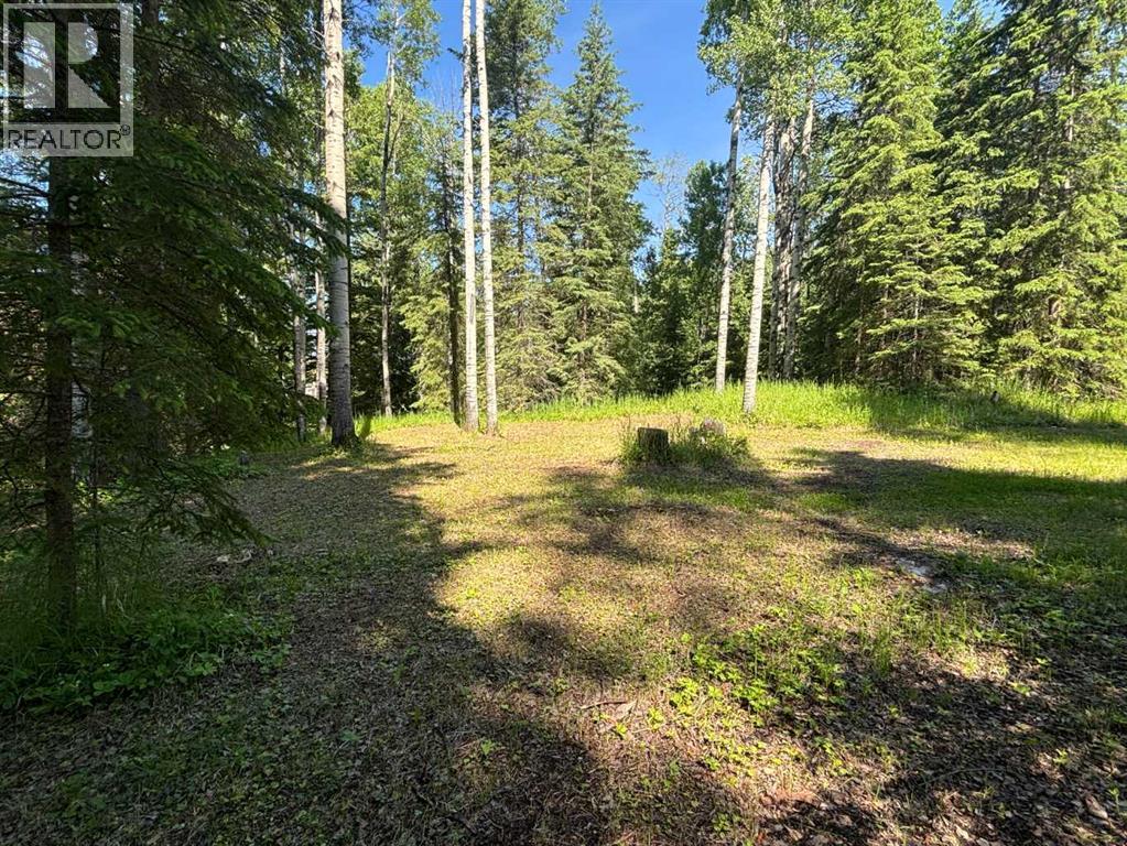 590039 Range Road 113A - 18