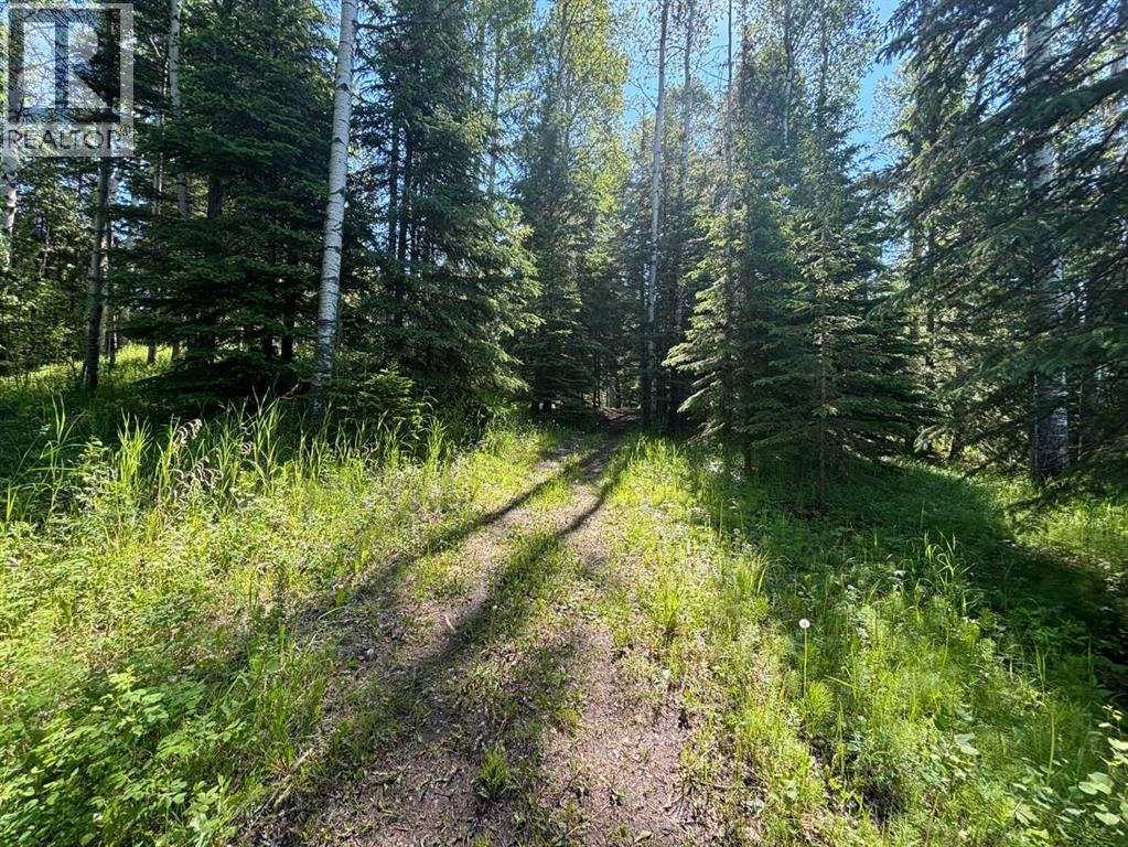 590039 Range Road 113A - 15