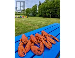 1543 West Lake Ainslie, West Lake Ainslie, NS B0E1N0 Photo 49
